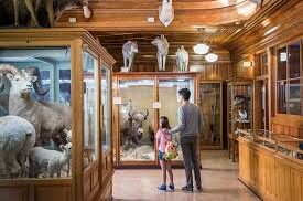 BANFF MUSEUM